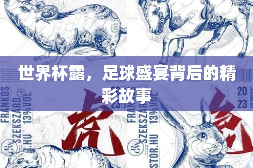 世界杯露，足球盛宴眉山市正发家政服务有限公司背后的精彩故事