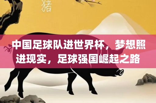 中国足球队进世界杯，梦想照进现实，足球强国崛起之路眉山市正发家政服务有限公司