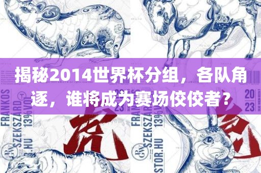 揭秘2014世界杯分组，各队角逐，谁将成为赛场佼佼者？