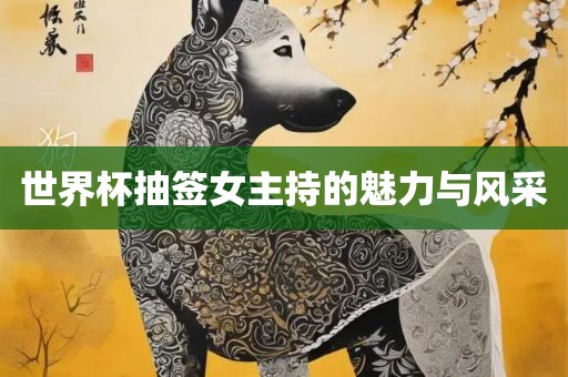 世界杯抽签女主持的魅力与风采