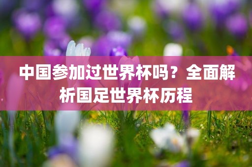 中国参加过世界杯吗？全面解析国足世界杯历程眉山市正发家政服务有限公司
