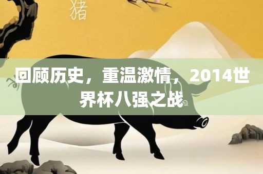 回顾历史，重温激情，2014世界杯八强之战