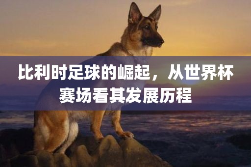 比利时足球的崛起，从世界杯赛场看其发展历程眉山市正发家政服务有限公司