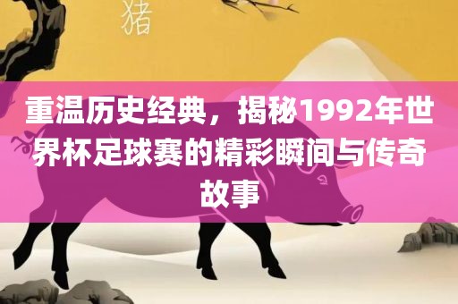 重温历史经典，揭秘1992年世界杯足球赛的精彩瞬间与传奇故事眉山市正发家政服务有限公司
