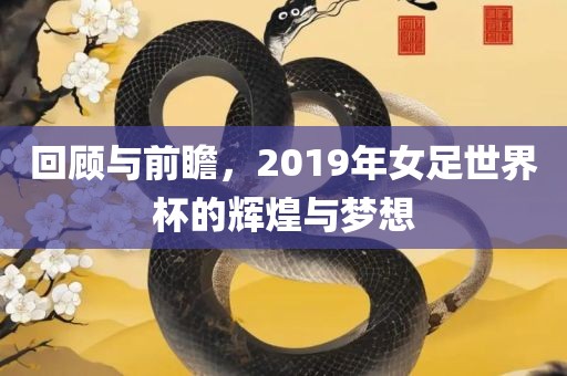 回顾与前瞻，2019年女足世界杯的辉煌与梦想眉山市正发家政服务有限公司