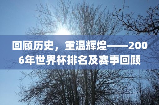 回顾历史，重温辉煌——2006年世界杯排名及赛事回顾