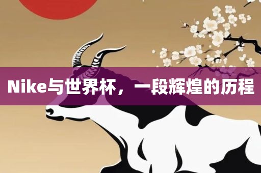 Nike与世界杯，一段辉煌的历程