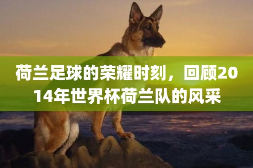 荷兰足球的荣耀时刻，回顾2014年世界杯荷兰队的风采
