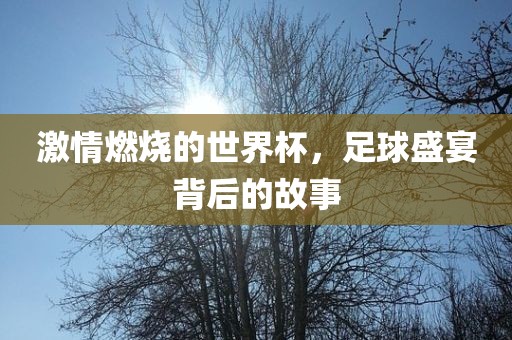 激情燃烧的世界杯，足球盛宴背后的故事眉山市正发家政服务有限公司