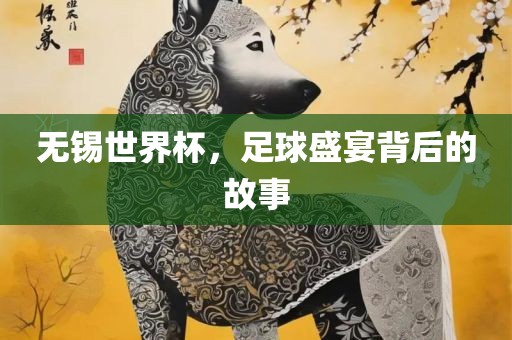 无锡世界杯，足球盛宴背后的故事眉山市正发家政服务有限公司