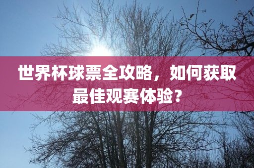 世界杯球票全攻略，如何获取最佳观赛体验？