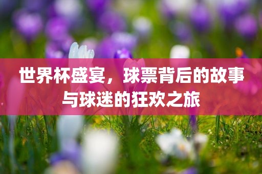 世界杯盛宴，球票背后的故事与球迷的狂欢之旅眉山市正发家政服务有限公司