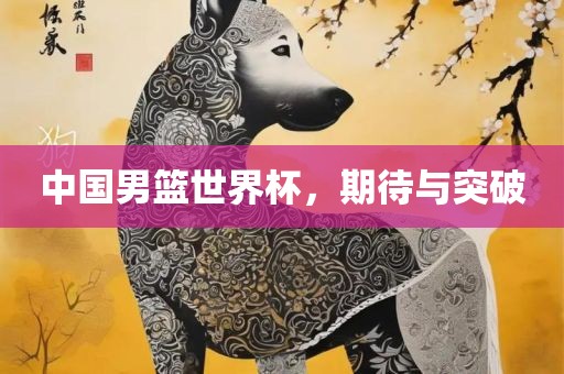 中国男篮世界杯，期待与突破