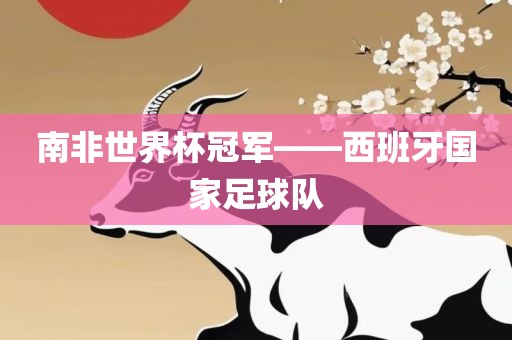 南非世界杯冠军——西班牙国家足球队眉山市正发家政服务有限公司