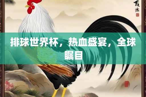 排球世界杯，热血盛宴，全球瞩目