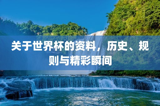 关于世界杯的资料，历史、规则与精彩瞬间眉山市正发家政服务有限公司
