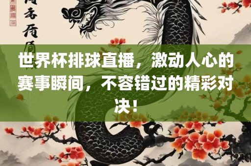 世界杯排球直播，激动人心的赛事瞬间，不容错过的精彩对决！