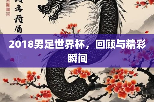 2018男足世界杯，回顾与精彩瞬间眉山市正发家政服务有限公司