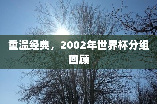 重温经典，2002年世界杯分组回顾