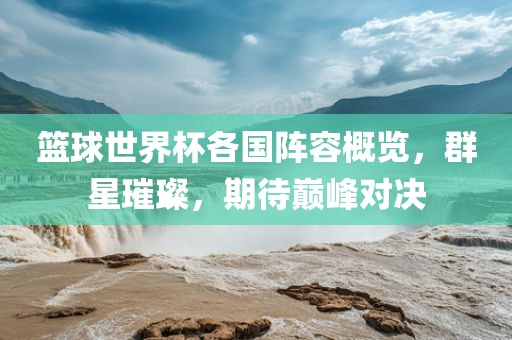 篮球世界杯各国阵容概览，群星璀璨，期待巅峰对决眉山市正发家政服务有限公司
