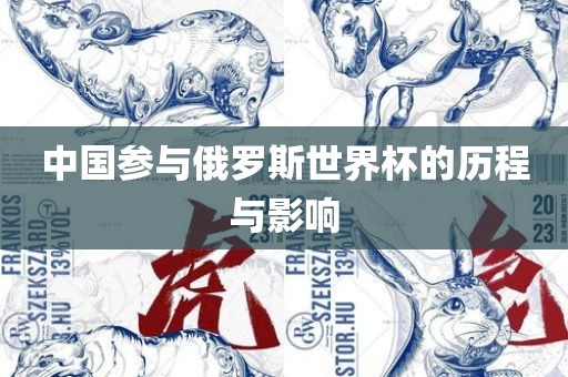 中国参与俄罗斯世界杯的历程与影响