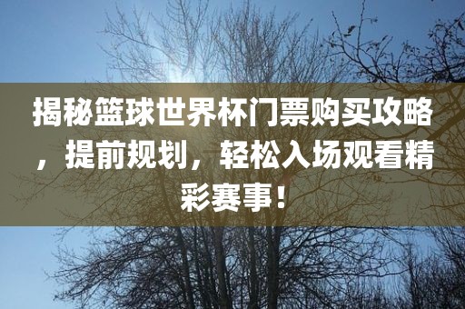 揭秘篮球世界杯门票购买攻略，提前规划，轻松入场观看精彩赛事！眉山市正发家政服务有限公司