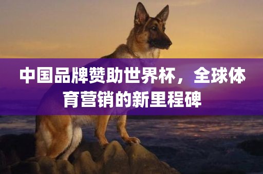 中国品牌赞助世界杯，全球体育营销的新里程碑眉山市正发家政服务有限公司