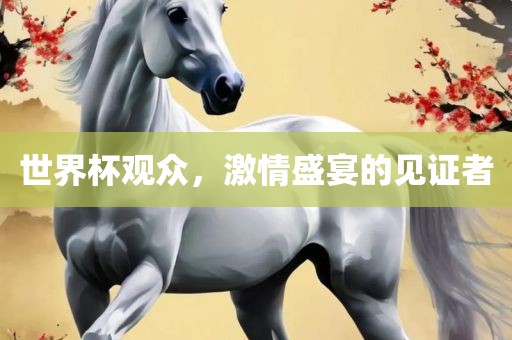 世界杯观众，激情盛宴的见证者眉山市正发家政服务有限公司