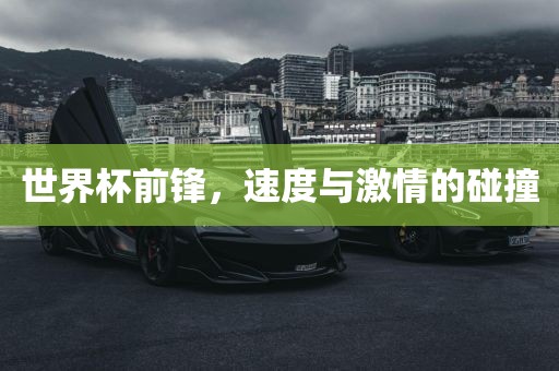 世界杯前锋，速度与激情的碰撞眉山市正发家政服务有限公司