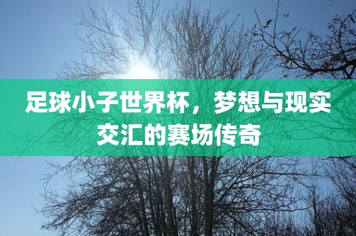足球小子世界杯，梦想与现实交汇的赛场传奇