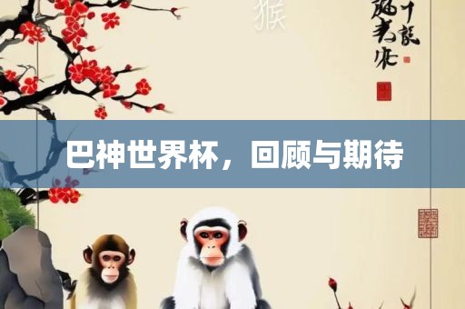 巴神世界杯，回顾与期待