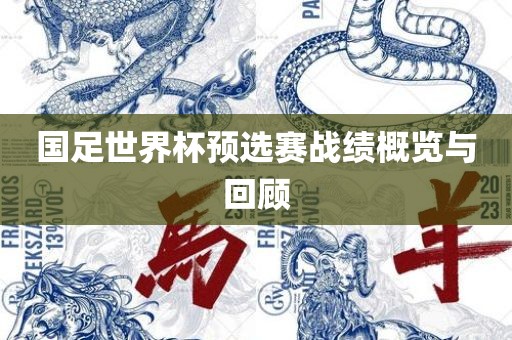 国足世界杯预选赛战绩概览与回顾