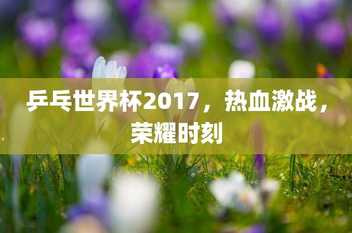 乒乓世界杯2017，热血激战，荣耀时刻