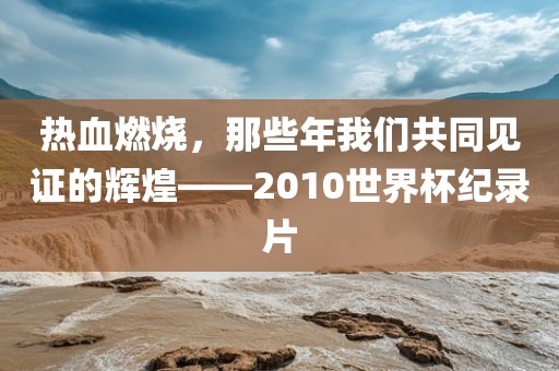 热血燃烧，那些年我们共同见证的辉煌——2010世界杯纪录片