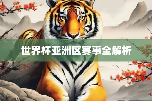 世界杯亚洲区赛事全解析