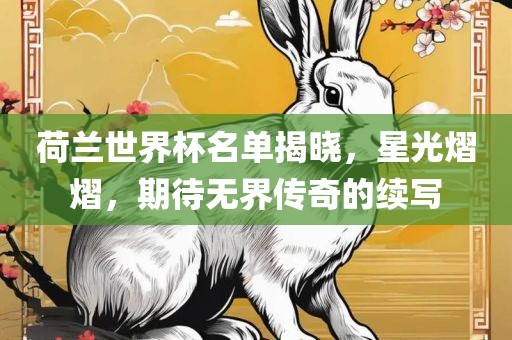 荷兰世界杯名单揭晓，星光熠熠，期待无界传奇的续写