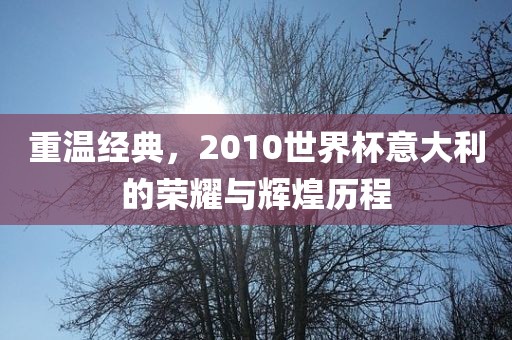 重温经典，2010世界杯意大利的荣耀与辉煌历程眉山市正发家政服务有限公司