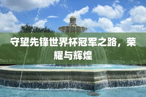 守望先锋世界杯冠军之路，荣耀与辉煌