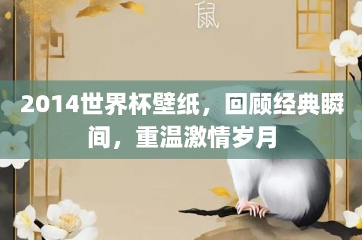 2014世界杯壁纸，回顾经典瞬间，重温激情岁月