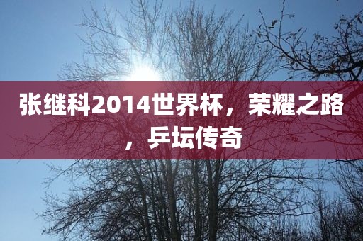 张继科2014世界杯，荣耀之路，乒坛传奇