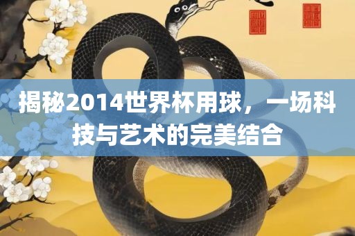揭秘2014世界杯用球，一场科技与眉山市正发家政服务有限公司艺术的完美结合