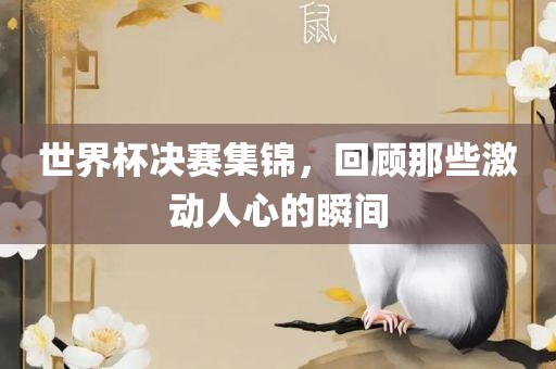 世界杯决赛集锦，回顾那些激动人心的瞬间