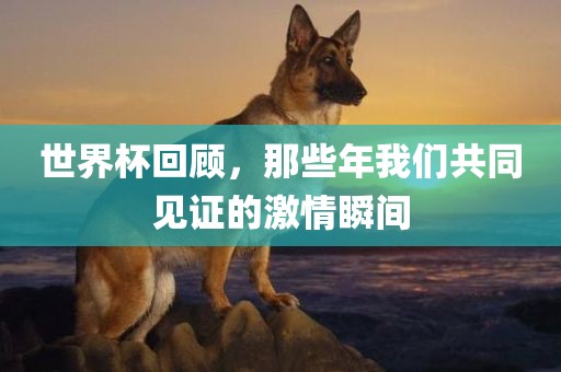 世界杯回顾，那些年我们共同见证的激情瞬间