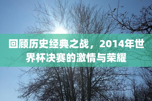 回顾历史经典之战，2014年世界杯决赛的激情与荣耀