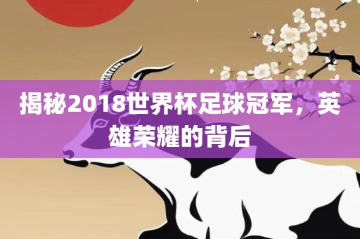 揭秘2018世界杯足球冠军，英雄荣耀的背后