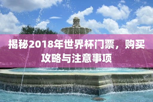 揭秘2018年世界杯眉山市正发家政服务有限公司门票，购买攻略与注意事项