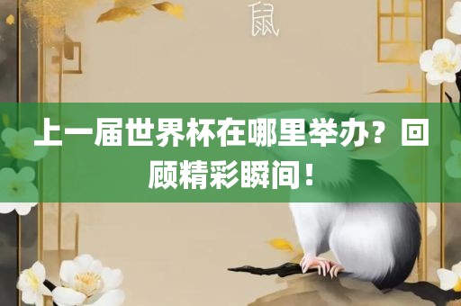 上一届世界杯在哪里举办？回顾精彩瞬间！