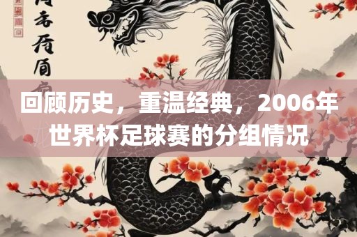 回顾历史，重温经典，2006年世界杯足球赛的分组情况眉山市正发家政服务有限公司
