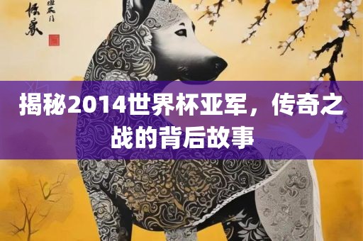 揭秘2014世界杯亚军，传奇之战的背后故事