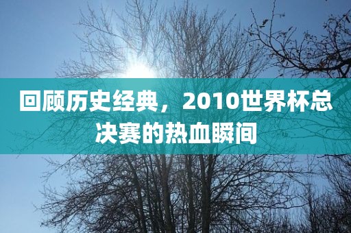 回顾历史经典，2010世界杯总决赛的热血瞬间